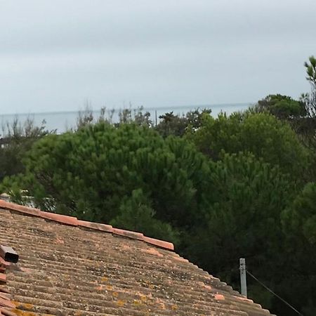 Vias Plage : Residence Securisee Bord De Mer Eksteriør bilde