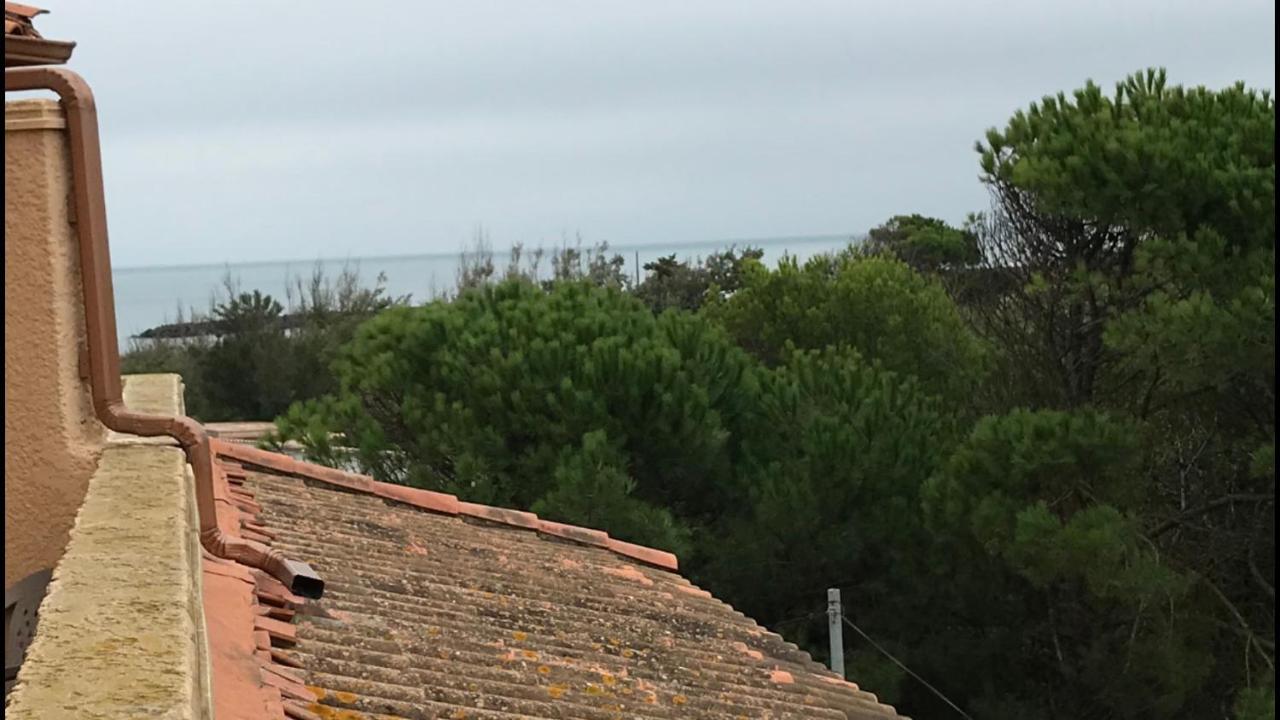 Vias Plage : Residence Securisee Bord De Mer Eksteriør bilde