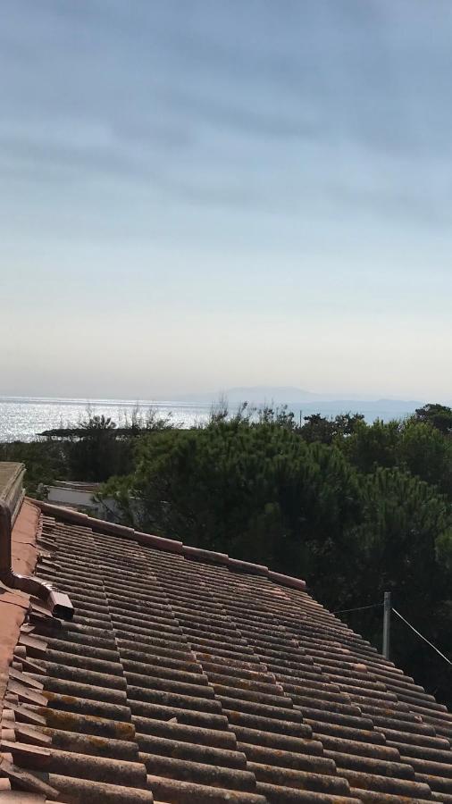Vias Plage : Residence Securisee Bord De Mer Eksteriør bilde